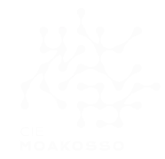 Cie Moakosso - Hip Hop freestyle dance company