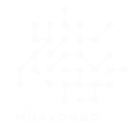 Moakosso-logo-anime-blanc-small Cie Moakosso - Hip Hop freestyle dance company